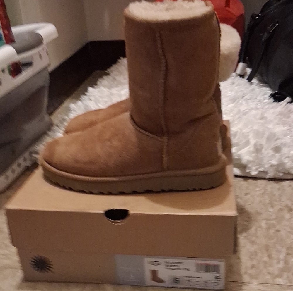 UGG Chestnut Ankle Booties